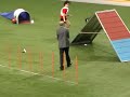 Flip Midi Team Agility