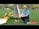 Reducing Gardening Stress