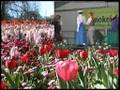 Floriade - more than just flowers
