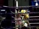 Muay Thai Boxing Matches at Lumpinee Stadium