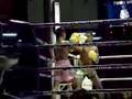 Muay Thai Boxing Matches at Lumpinee Stadium