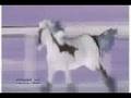 videos de Breathe Into Me~ MINI MOVIE!!!! LOADS OF EFFECTS!!!