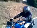 A cerda in moto