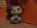 nibbles the hamster part3 nibbles the hamster part3