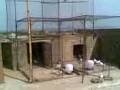 my beaty birds in paki