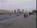 Dubai Business and Turism
