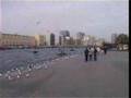 Dubai Business and Turism