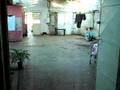 videos de borracho