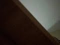 vid test cam