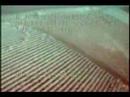 Super Dimona 2400 FPV video crash
