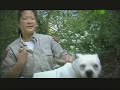 Animal Cops Philly- Day in the Life: Ashley Mutch