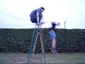 Thumbnail #1