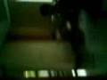 videos de jiggy--the spiderman