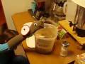 videos de Busy Beavers, French Frogs, and one tired Sloth