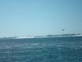 videos de Boat Races Key West Nov 9 2008