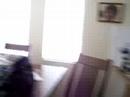 sh*t part oone in eddies crib sh*t part oone in eddies crib