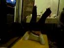 pets de choune 2