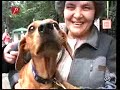Dezbracatu\ Dezbracatu\