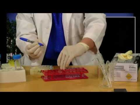 how to perform bradford assay