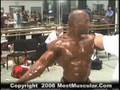 Tampa-Bay-Pro-Bodybu