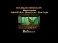 Boraergun - Waterslager Song Analysis 3