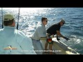 Sunset Marina - "The Daily Catch # 14" - '3 Days Early September 2012'