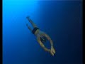 William Trubridge freedives THE ARCH at Blue Hole, Dahab