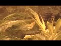 MOV002.MOD
