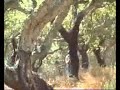 SARTIM - O caminho da Perdição SARTIM - O caminho da Perdição