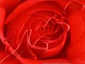 abdulsamet fatiha QURAN www.saidnur.com