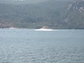 Jet Boat Rooster Run 2