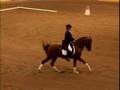 TAEZ  GRAND PRIX MUSICAL FREESTYLE ASHN Nampa Idaho 08