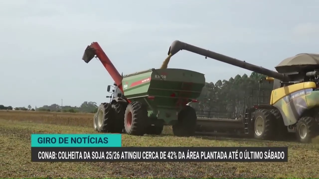 Exportação mundial de café cresceu quase 14% em janeiro, diz OIC | Giro de Notícias