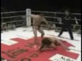 MIrko crocrop Highlights