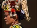 Borneo Sape Borneo Sape