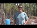 Florida\ Florida\