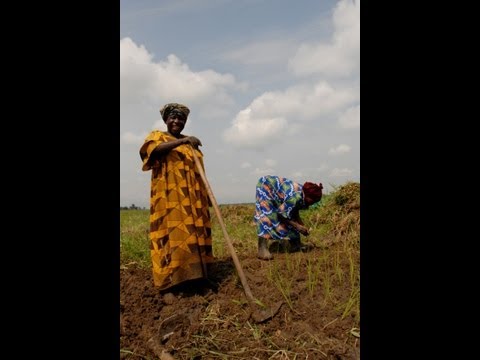 Women's World Banking's Network Member CECM in Burundi helps women to rebuild their lives with mi...