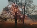 New Day - Thomas Dekker New Day - Thomas Dekker