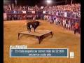 ratón forja su leyenda de toro asesino
