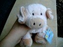 I Got a NEW UNEXPECTED Webkinz!