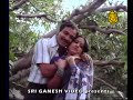 Nammoora Mandara Hoove - Aalemane Nammoora Mandara Hoove - Aalemane