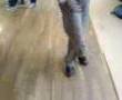mike92 imite Michael Jackson