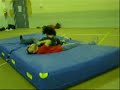 idioti con il pedigree a savigliano