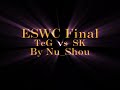 DOTA ESWC FINAL TEG:SK HIGHLIGHTS