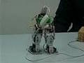 Brat Biped Robot Demo