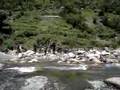 River Crossing; Uttar Kashi