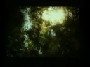 Classic Finnish indie / underground / avantgarde.The video is directed by Kake Puhuu in 1995 and the song is from the 7