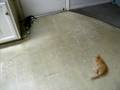 videos de Sugar N Spice