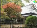 聖宝寺もみじ祭り