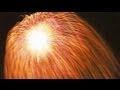 片貝まつり花火大会　世界一『四尺玉』 - Fireworks in Katakai
